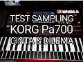 DANGDUT SAMPLING KORG Pa700 Cinta dan Dilema Karaoke