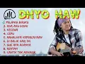 Download Lagu dhyo haw# full album indonesia
