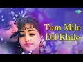 Download Lagu Tu Mile Dil Khile |  Criminal | Kumar Sanu, Alka Yagnik | romantic song