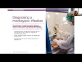 Monkeypox under the spotlight