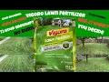 Vigoro Lawn Fertilizer 72 Hour Greenup