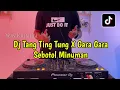 Download Lagu DJ TANG TING TUNG X GARA GARA SEBOTOL MINUMAN FULL BASS