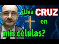 Download Lagu Het molecuul van GOD: het KRUIS dat alles verenigt ✝️