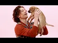 Tom Holland The Puppy Interview Part Two