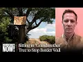 Activist Tree-Sit in Ancient Cottonwood Continues Against Border Wall Construction in Arizona