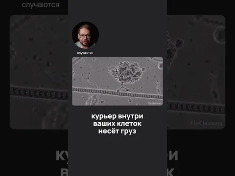 Курьер внутри ваших клеток несёт груз #наука #панчин