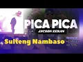 Download Lagu PICA PICA LIVE KONSER Jacson zeran KOTA PALU SULTENG NAMBASO
