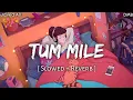 Download Lagu Tum Mile [Slowed+Reverb] - Javed Ali • Lofi Sad Songs • DM Lofi