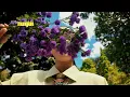 Download Lagu NAKI, Mitty Zasia - Lepas Pegangan (Official Lyric Visualizer)