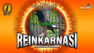 reinkarnasi triyanto babf piala bupati karawang
