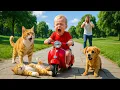 Download Lagu Misunderstood Puppy Rescues Kitten from Scooter Accident #puppyrescue #mamacat