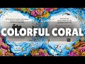 Colored Pencil Tutorial How To Color Busy Underwater Scenes Kerby Rosanes Fragile World