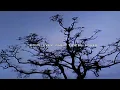 UICIDEBOY - COME OVER WHEN YOU RE SOBER