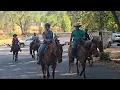 Armstrong Redwoods Guerneville CA riding horses through the redwoods 8 19 2026 707-869-9177