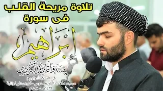 تلاوة هادية فى سورة ابراهيم كاملة للقارئ بيشةوا قادر الكردى 