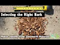How to Pick the Right Bark Mulch