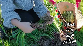 Algerian Rural Life حياة الريف البسيطة زرع وطهي أطباق لذيذة 