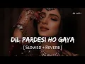 Lagu Dil Pardesi Ho Gaya (Slowed + Reverb) | Lata Mangeshkar, Kumar Sanu | Kachche Dhaage | SR Lofi