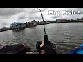 Download Lagu TIDAK DISANGKA DI DERMAGA ADA IKAN BESARNYA !!
