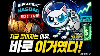 스페이스X 상장이 코인 시장을 흔든 진짜 이유, 지금이 기회일까?