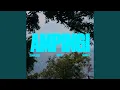 Ampingi