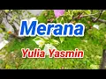Lagu Merana Lagu Mandarin Yulia Yasmin Hatiku Rindu Pada Dirimu Setiap Malam Terbayang Wajahmu