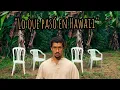 Download Lagu Lo que le pasó a Hawaii - Bad Bunny
