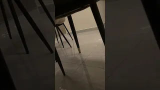 شذا الفندق يطلع اصوات   حائل دندنها