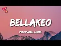 Download Lagu Peso Pluma, Anitta - Bellakeo
