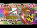 FARM DESIGN TOWNSHIP LEVEL 80-90