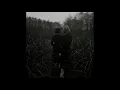 2015 - goldmund - sometimes