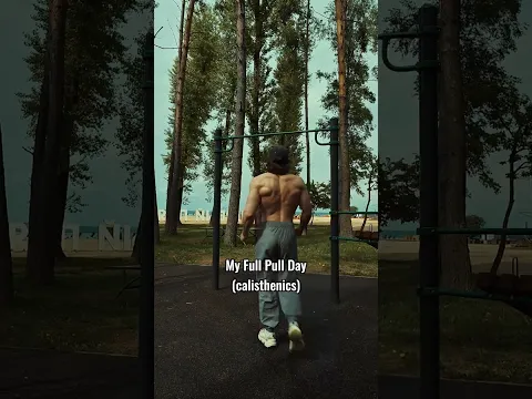 Full Pull Day (CALISTHENICS)