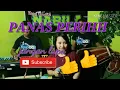 Download Lagu PANAS PERIH_NOK NENG SAGITA (cover )Isahh dmeztha