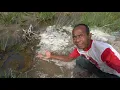 Download Lagu Bangka Island - Rehabilitating Soil