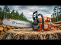 10 Best Professional Chainsaws Ever Made
