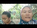 Download Lagu Sarapan pagi bersama gulai kikil kulit kambing ala bik Regar