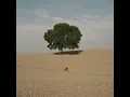 Vil du noget?