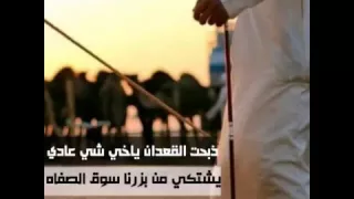 شيلة   يبشر الطيب دندنها