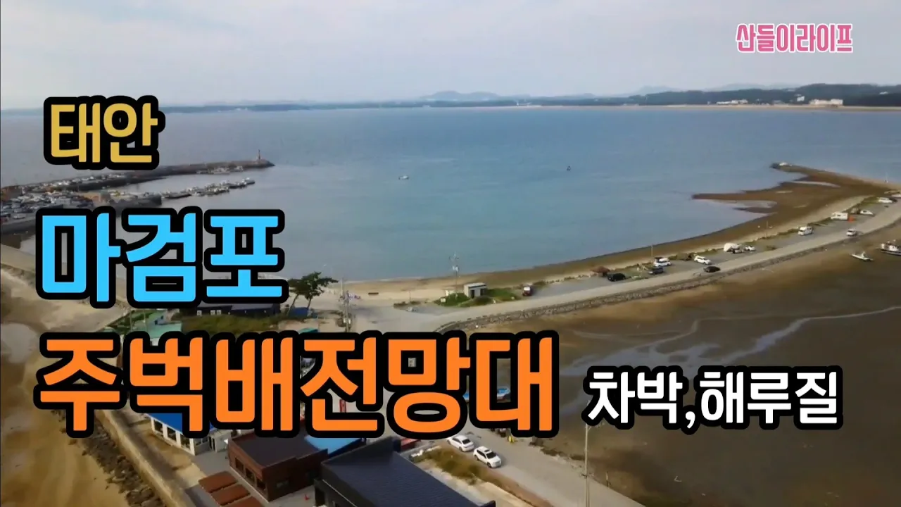 [충남태안]마검포,주벅배전망대 차박,해루질 #자작캠핑카 #캠핑카여행 #노지차박 #노지캠핑 #스텔스차박 #해루질포인트 サムネイル