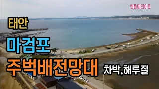 [충남태안]마검포,주벅배전망대 차박,해루질 #자작캠핑카 #캠핑카여행 #노지차박 #노지캠핑 #스텔스차박 #해루질포인트 썸네일