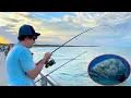 What to know when Fishing at Sebastian Inlet
