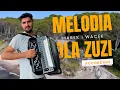 Download Lagu Melodia dla Zuzi - DIGITAL ACCORDION - Michał Cholka