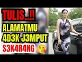 Lagu 💖“JANDA KAYA INI NEKAT CARI DUDA KULI, ALASANNYA BIKIN MERINDING”