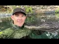Why isn t gator attacking you