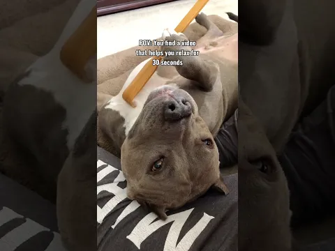 You found a video that helps you relax