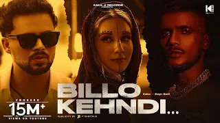 billo bagge billeyan da ki krengi official video billo kehndi kaka ji zayn saifi