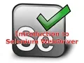 19 Introduction to Selenium WebDriver