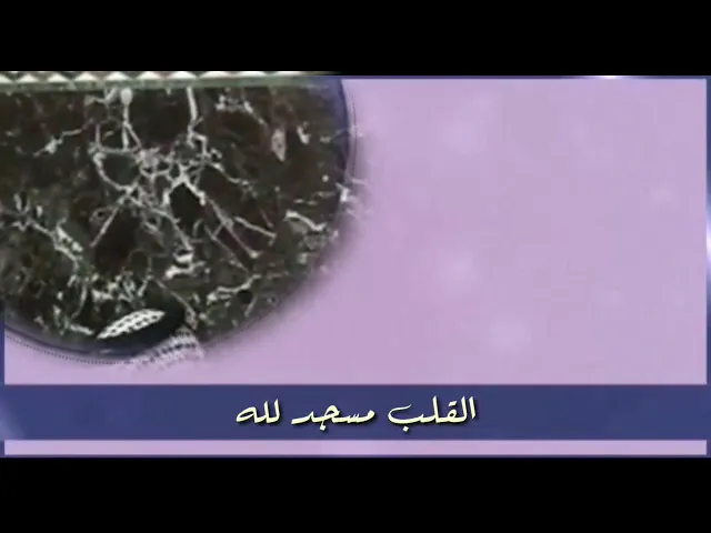 ⁣القلب مسجد لله .