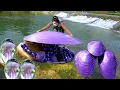 Download Lagu 🎁The giant purple clam has nurtured charming and precious purple pearls, bringing me immense wealth