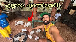 മുയലും കുഞ്ഞുങ്ങൾ എല്ലാം കണ്ണ് തുറന്നു!!! | Avairy Full of Rabbits | Fishing freaks 